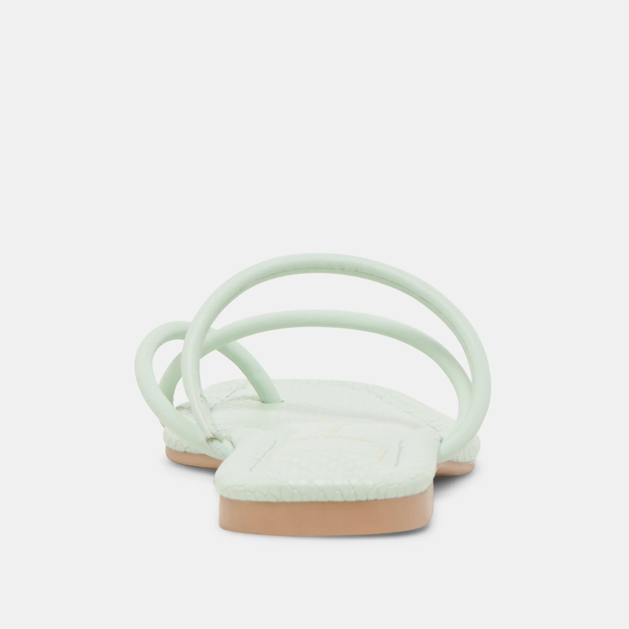 LEANNA CUCUMBER STELLA - Image 7