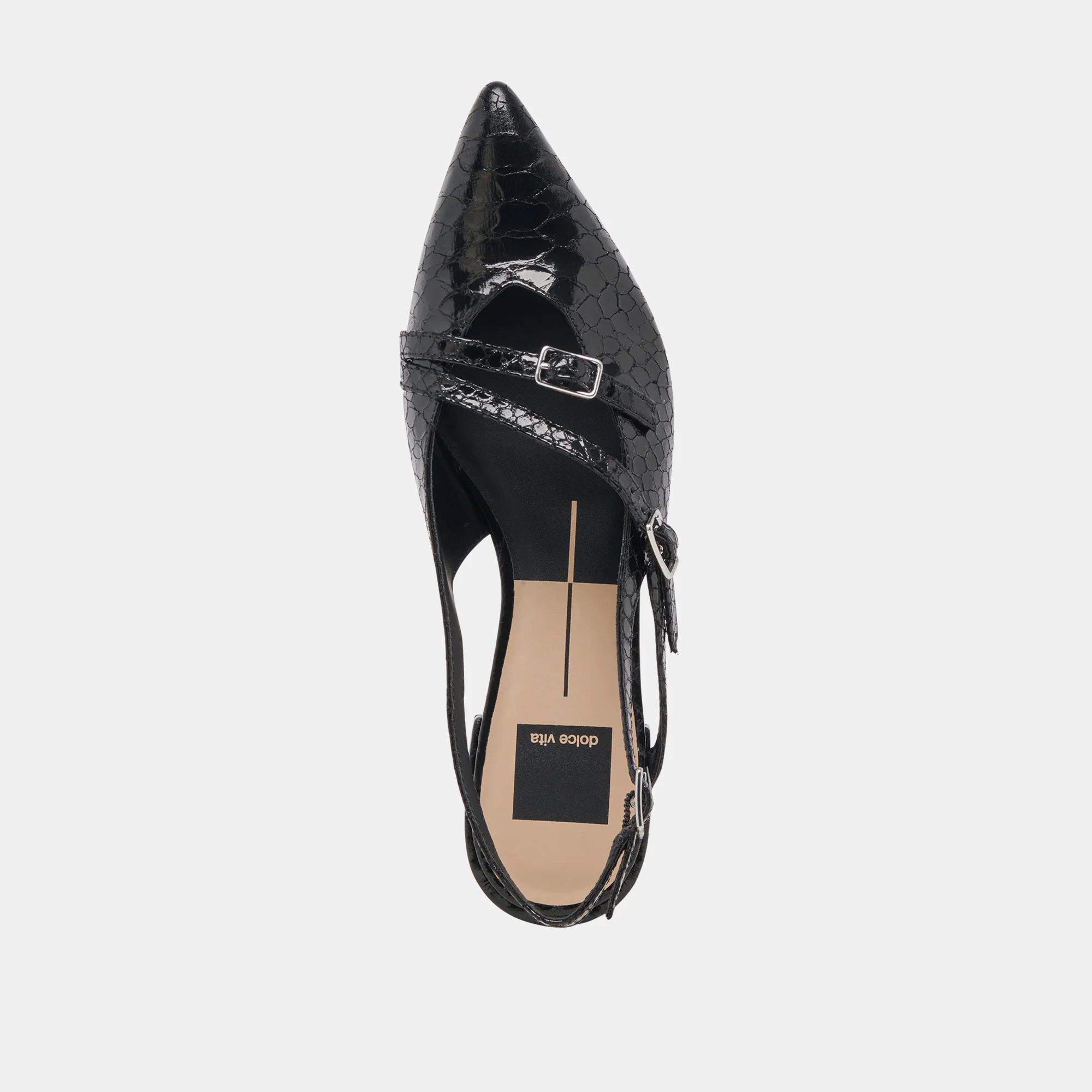 PAMLA MIDNIGHT SNAKE - Image 8